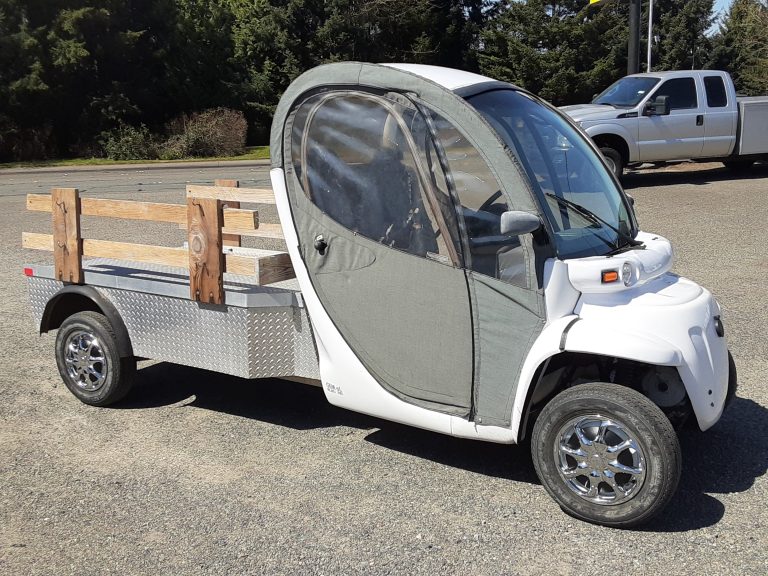 2008 Polaris GEM - image 1 of 6
