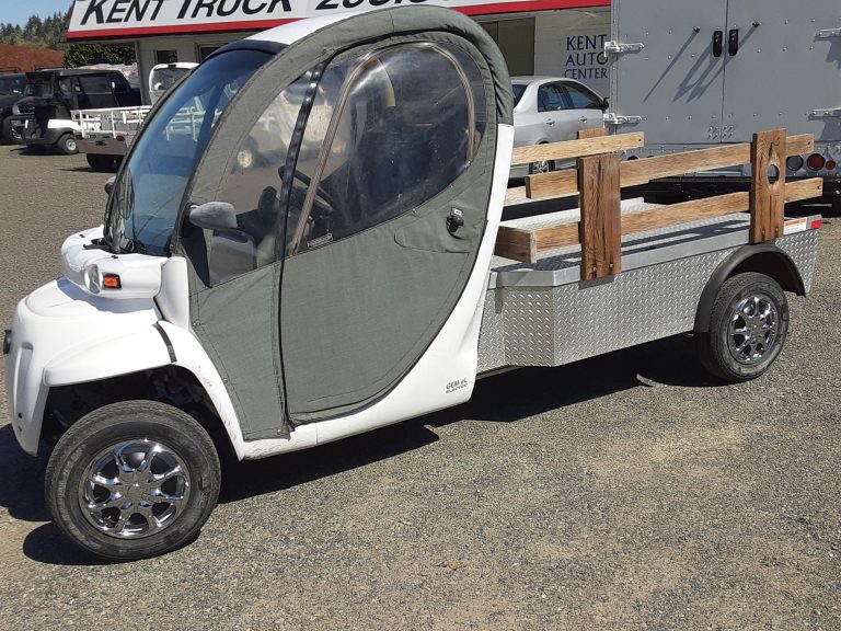 2008 Polaris GEM - image 5 of 6