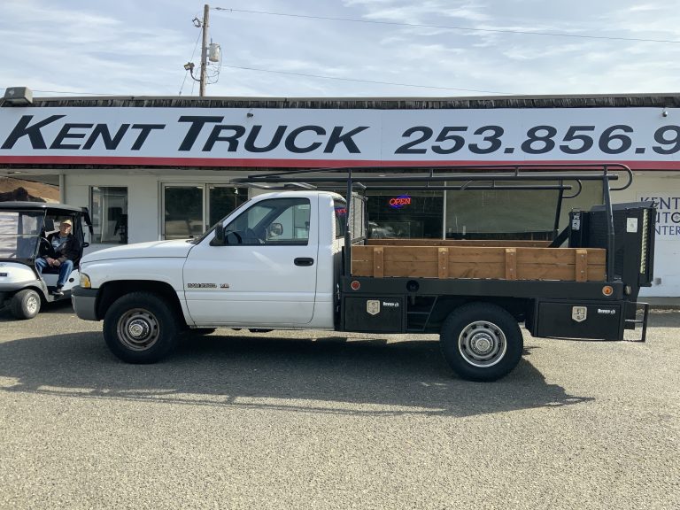 2001 Dodge DODGE 2500 - image 2 of 6