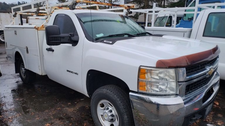 2010 Chevrolet Silverado - image 2 of 6